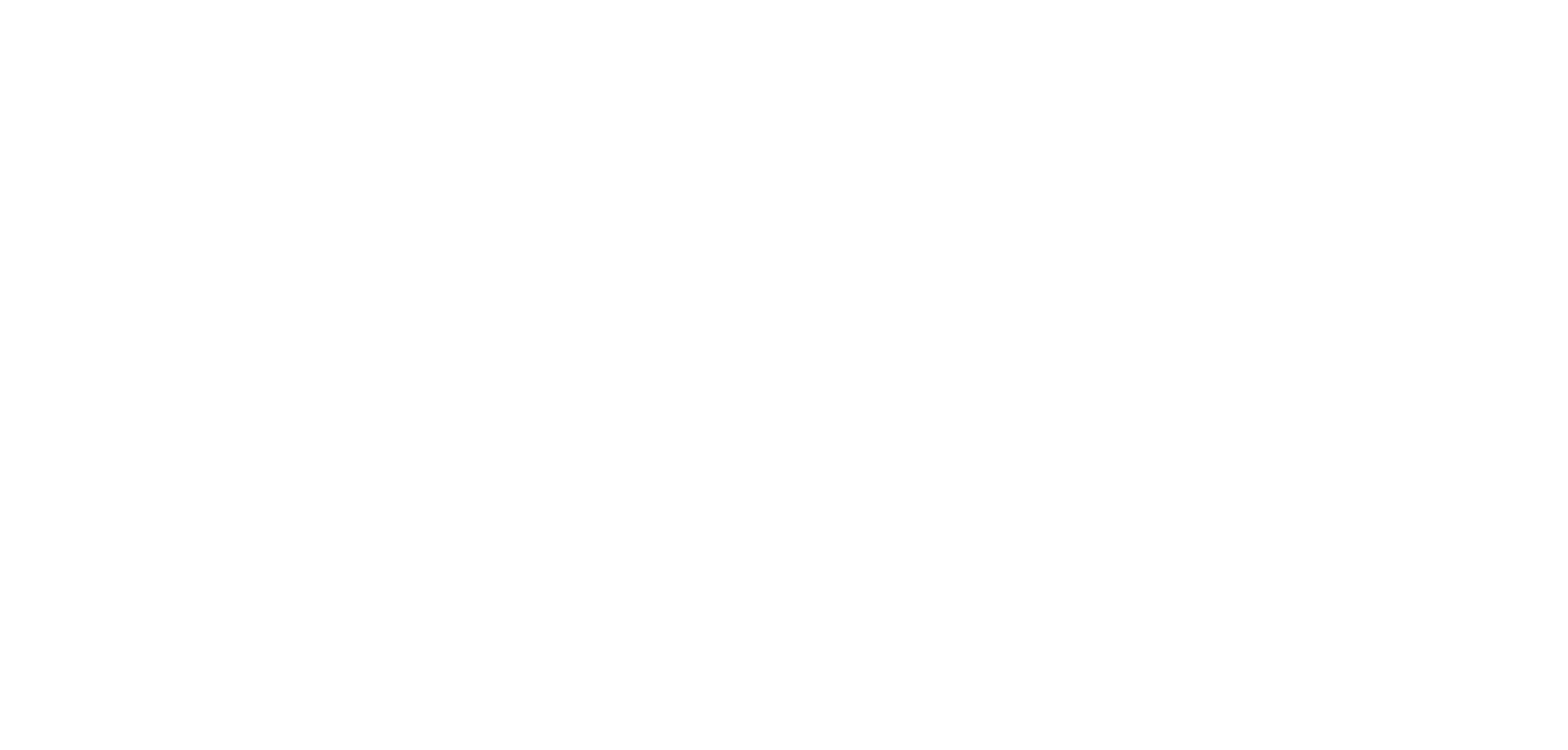 Wybor Footer Logo